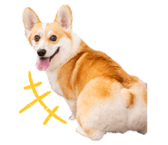 841946601