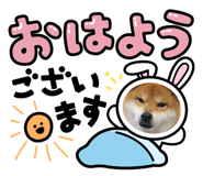 841946641
