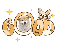 841946645