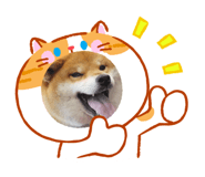841946646