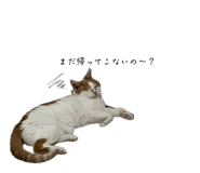 841946694