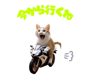 841946720