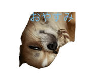 841946754