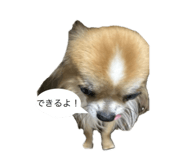 841946755