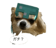 841946760