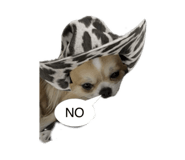 841946770