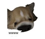 841946771