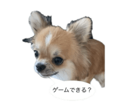841946780