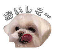 841946873