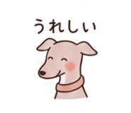 841947246