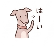 841947255