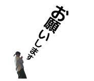 841953038