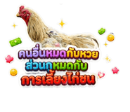 841953328