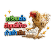 841953333