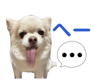 841953936