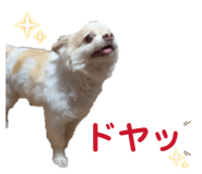 841953940