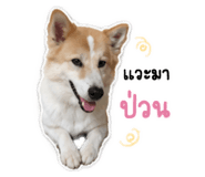 841954421