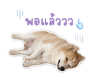 841954435