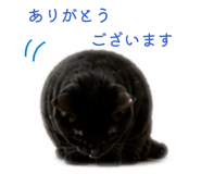 841955929