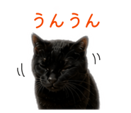 841955936