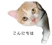 841956010