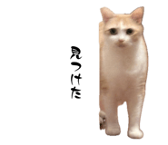 841956012
