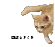 841956015