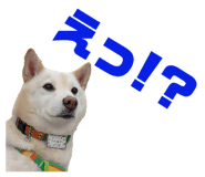 841956197