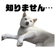 841956201