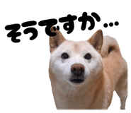 841956206