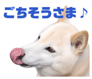 841956208