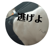 841956278