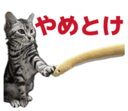 841956620