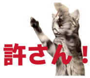 841956625