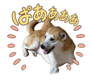 841963620