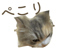841963733