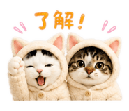 841963828