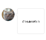 841963911