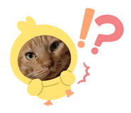 841963919