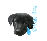 841968090