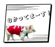 841968754