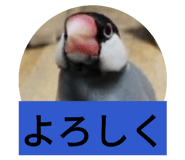 841969021