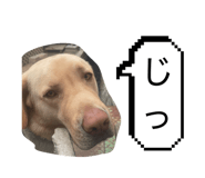 841969507