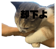 841969887