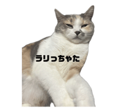 841969888