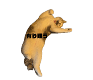 841969891