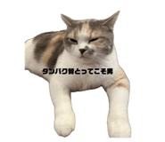 841969894