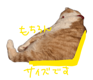 841969982