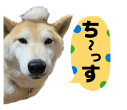 841970601