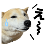 841970617